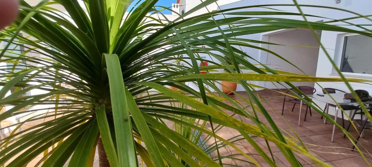 Apartamentos Naturalis Vila Nova de Milfontes Ngoại thất bức ảnh